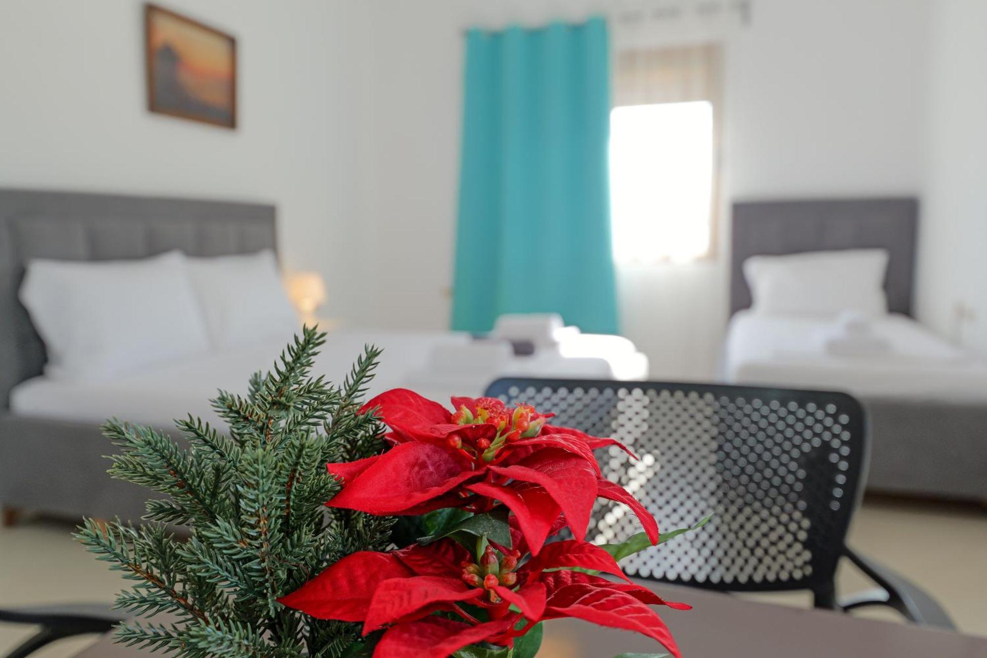 Central Garden Residence Sofia - Free Parking 卡萨米尔 外观 照片