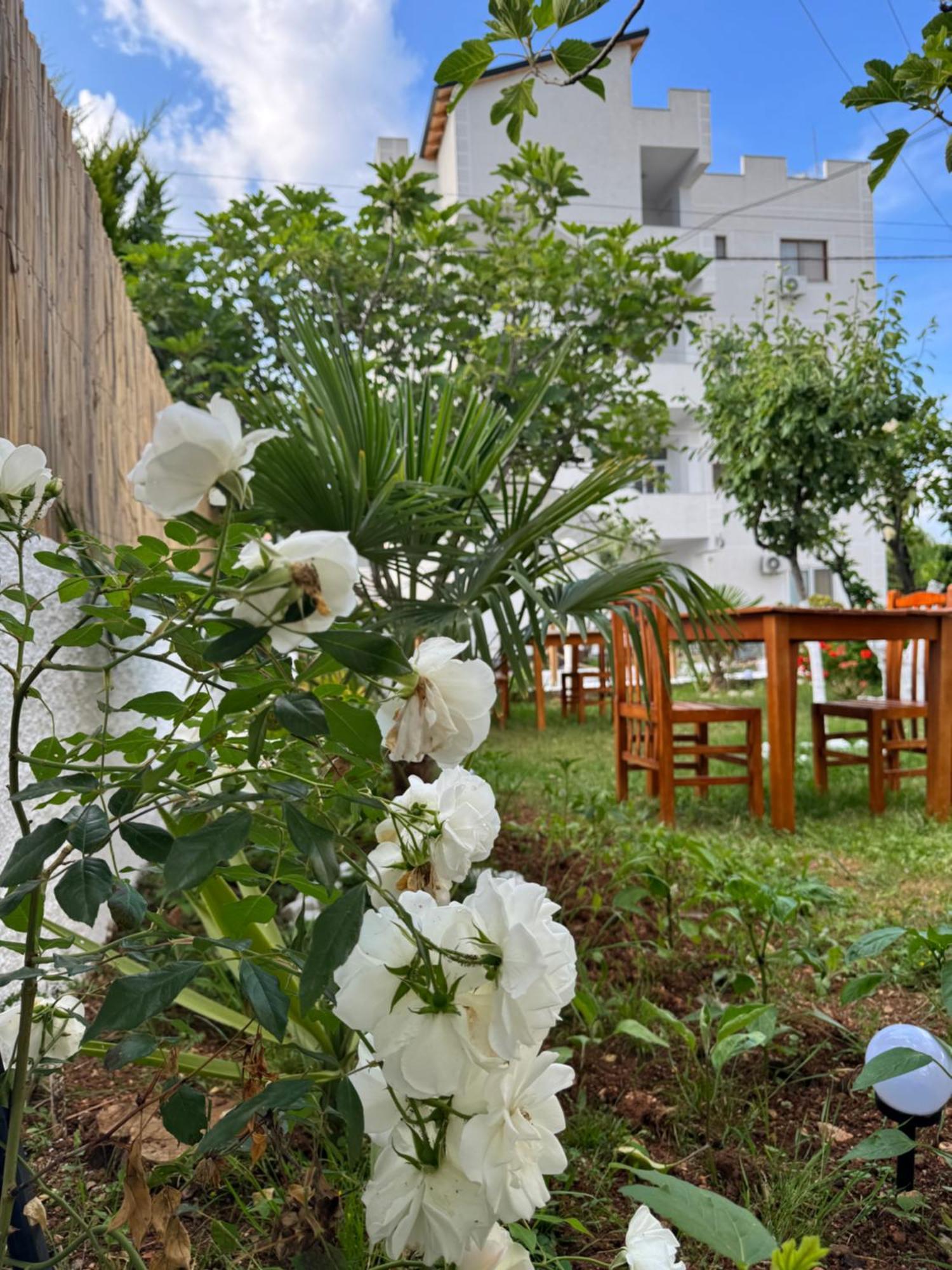 Central Garden Residence Sofia - Free Parking 卡萨米尔 外观 照片