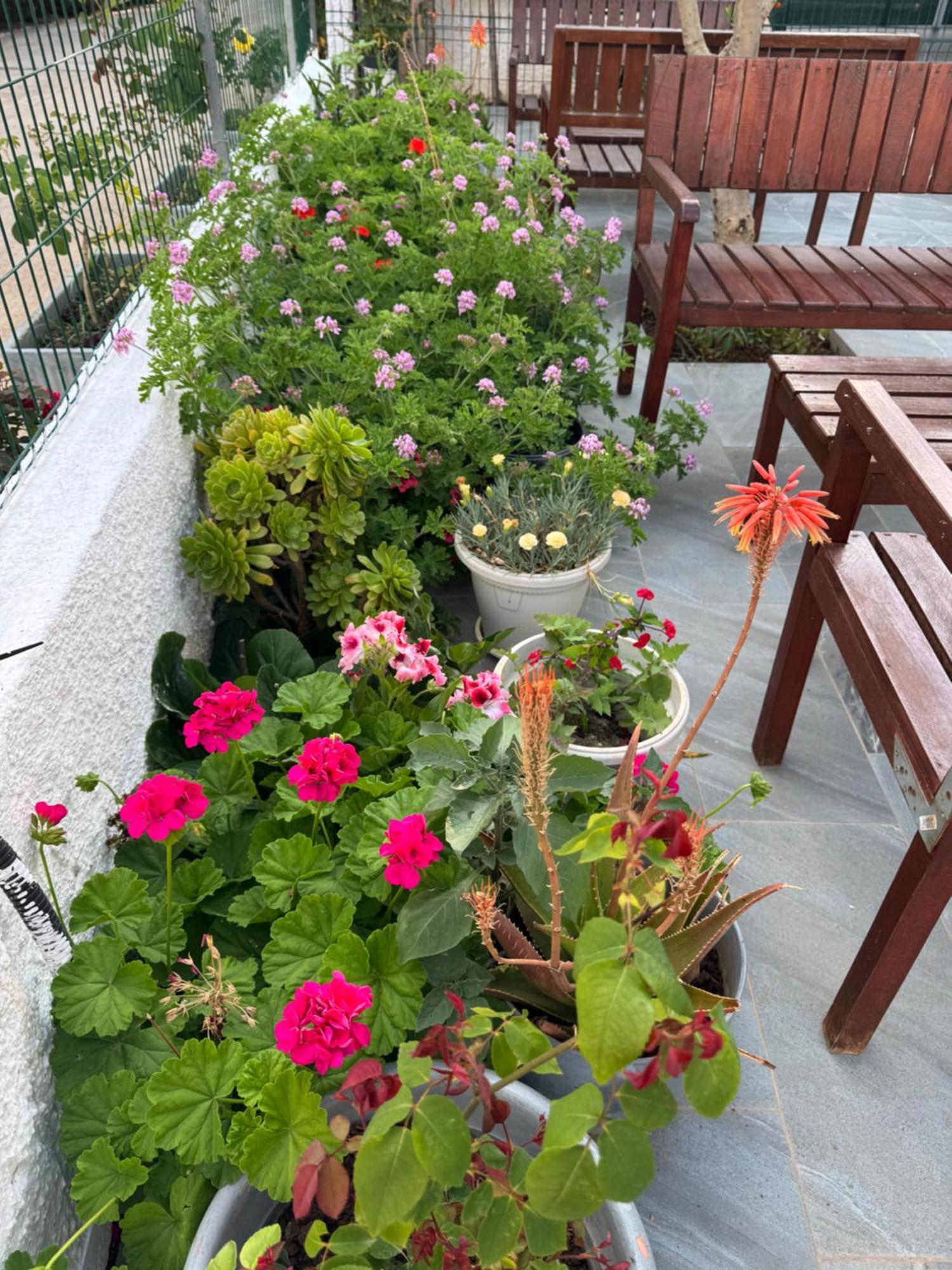 Central Garden Residence Sofia - Free Parking 卡萨米尔 外观 照片