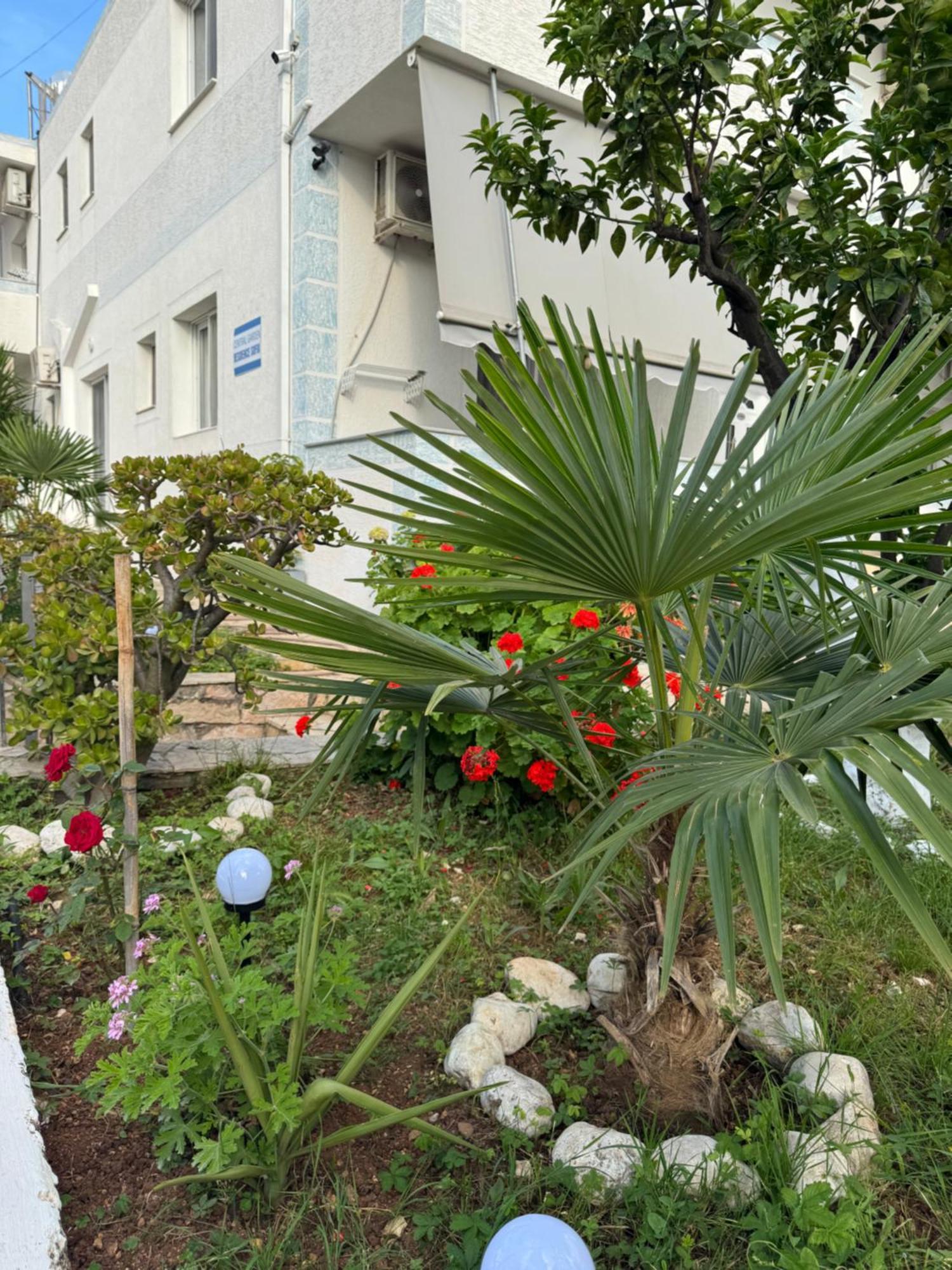 Central Garden Residence Sofia - Free Parking 卡萨米尔 外观 照片